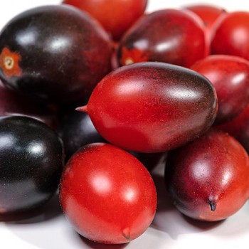 Black Cherry