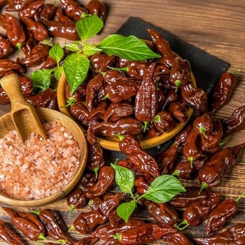 Naga Morich
