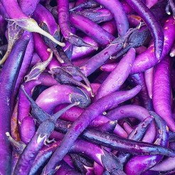 Jackpot (pot aubergine)