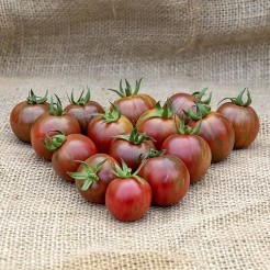 Cherry-Tomate Graffiti Pink