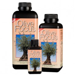 Olijfvoeding - Olive Focus - 300 ml