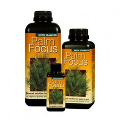 Palm focus