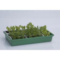 Seed tray 43