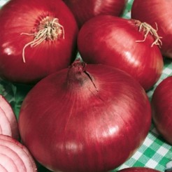 Ui Red Creole