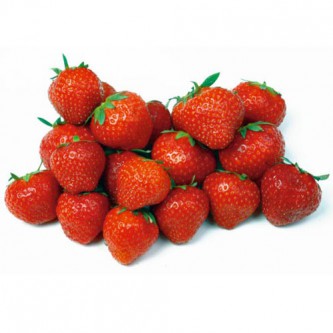 Erdbeere Grandian F1