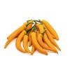 Cayenne Orange